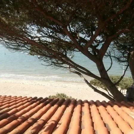 Face Mer *
